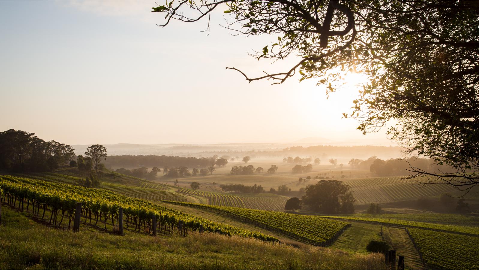 Plumb Excavations across the Hunter Region